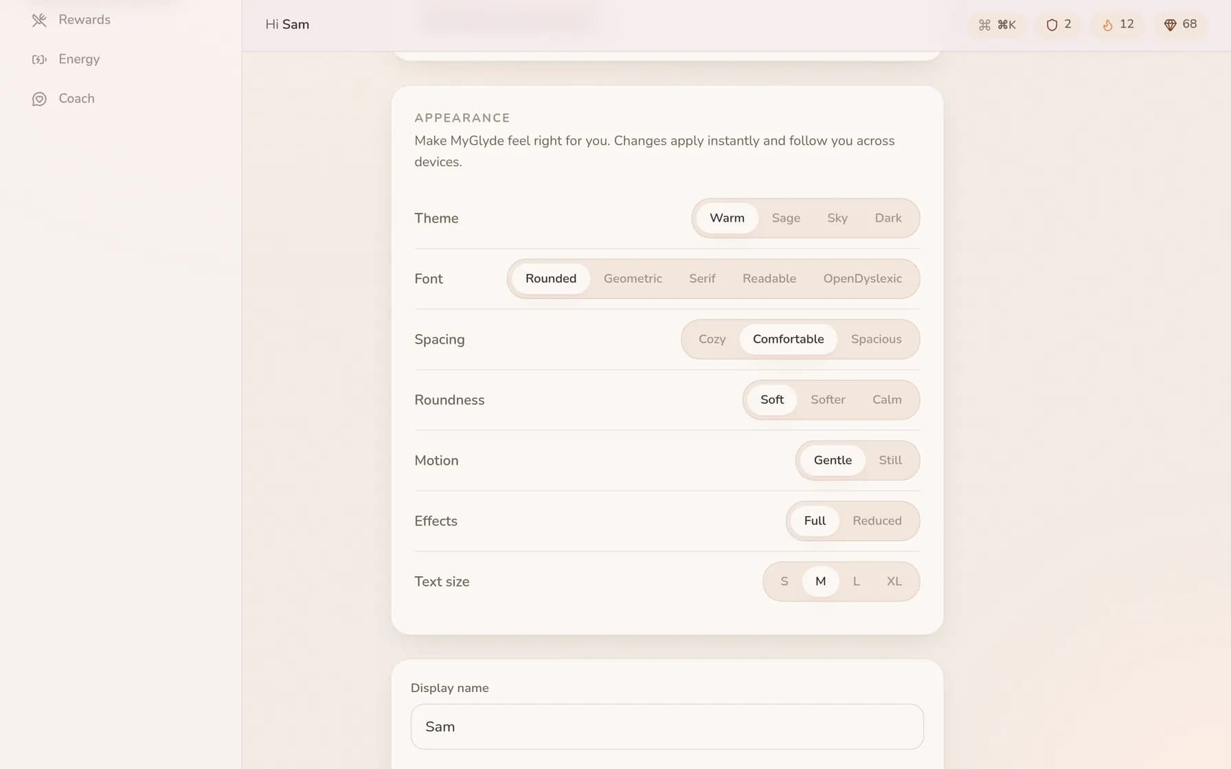 The appearance controls: four colour themes, five typefaces including a dyslexia-friendly one, and separate switches for spacing, corner roundness, motion and text size, each with a live swatch.